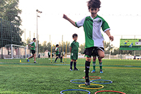 Curabitur sollicitudin ornare